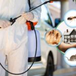 Common Solutions of a Bug Control Business